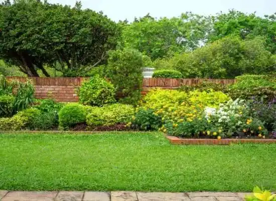 landscaping services Odenton